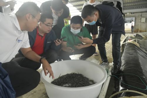 行業(yè)黑馬 馳騁而來 歡迎鍋圈食匯蒞臨國聯(lián)水產考察調研