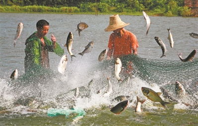 念好 山海經 發(fā)力 新賽道