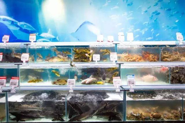 總統級“網紅店”落戶青山,1月22日正式開業,不見不散!