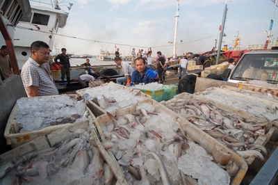 臺風(fēng)過后“第一網(wǎng)” 海鮮上市吃起來