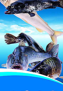 水產(chǎn)圖片