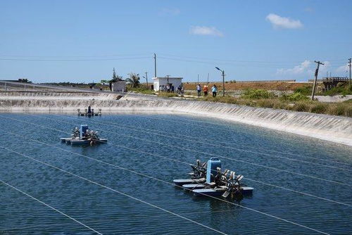 溯源南海之濱 麥德龍實地考察湛江水產(chǎn)基地