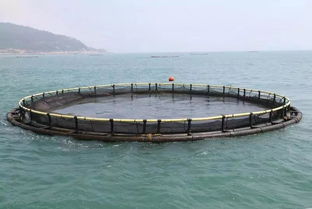 中擂品牌營銷策劃案例三海魚水產(chǎn)養(yǎng)殖品牌策劃