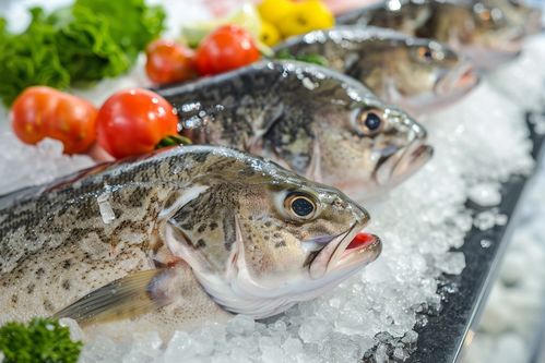 生鮮海鮮水產(chǎn)鱈魚 攝影圖