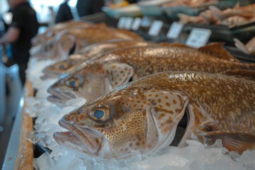 生鮮海鮮水產(chǎn)冰凍鱈魚 攝影圖