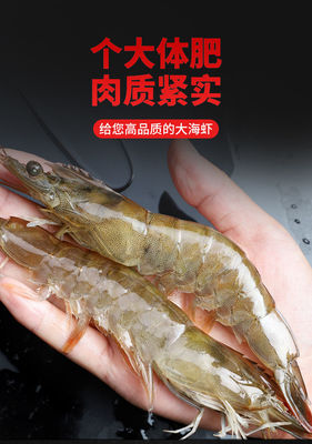 凈重4斤整箱蝦鮮活海鮮水產超大蝦基圍蝦活蝦鮮蝦白蝦海蝦大蝦鮮活速凍蝦