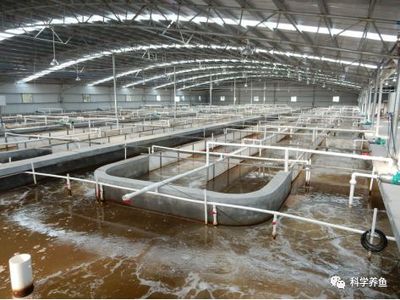 問道水產養殖何處去?丨三大技術模式、兩大發展趨勢