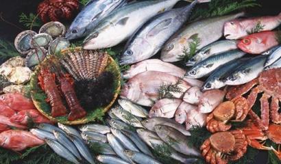 苧溪洋水產品加盟_苧溪洋水產品