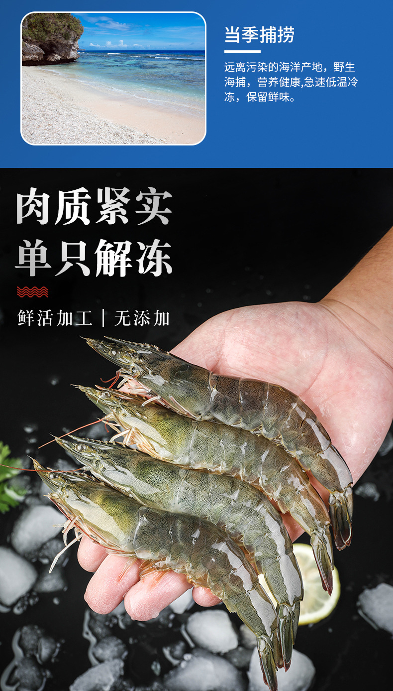 大蝦鮮活冷凍鹽田蝦基圍蝦2000g青島特大青蝦深海蝦海鮮水產包郵