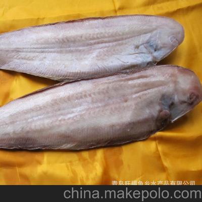 供應野生舌頭魚 魚類產品 水產品 廠家直銷【圖】圖片,供應野生舌頭魚 魚類產品 水產品 廠家直銷【圖】圖片大全,青島旺福魚鄉水產品-