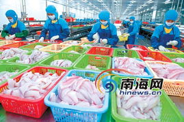 應對金融危機 海南企業苦練內功穩步發展