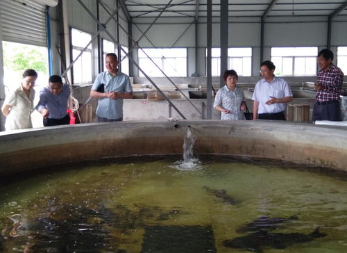 湖北省科學(xué)技術(shù)協(xié)會