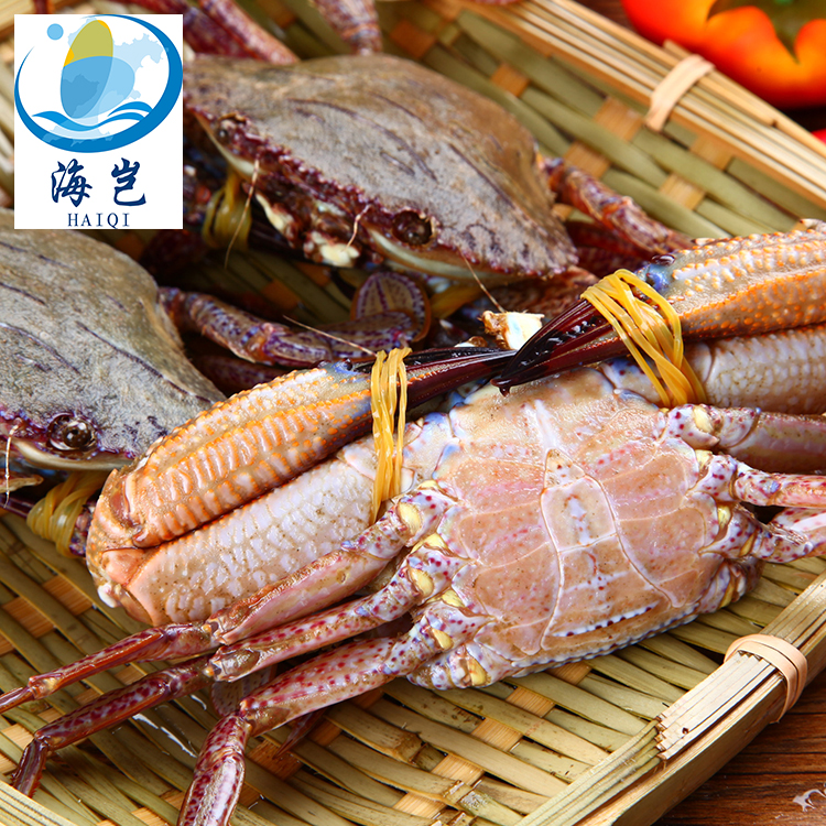 福建東山特產(chǎn)鮮活石蟹 黑蟹直銷鮮活海鮮海產(chǎn)品鮮活蟹類500g