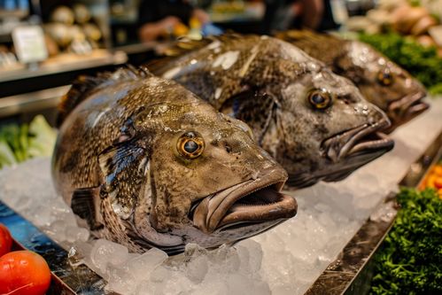 生鮮海鮮水產(chǎn)銀鱈魚食材 攝影圖