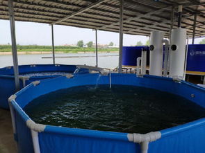 工廠化水產養魚技術 水產養魚設備 智慧農研 優質服務