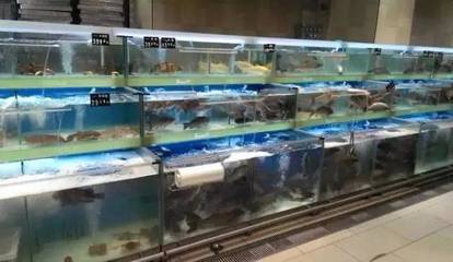 生鮮水產、蔬果類商品保鮮實戰指導(保鮮陳列、保鮮技巧、處理手法)