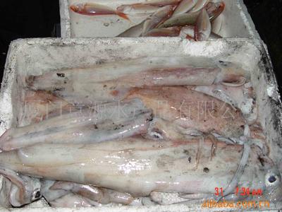 【水產品加工烘干一體機單價】價格、產品供應,水產品加工烘干一體機單價廠家批發列表2-1024商務網