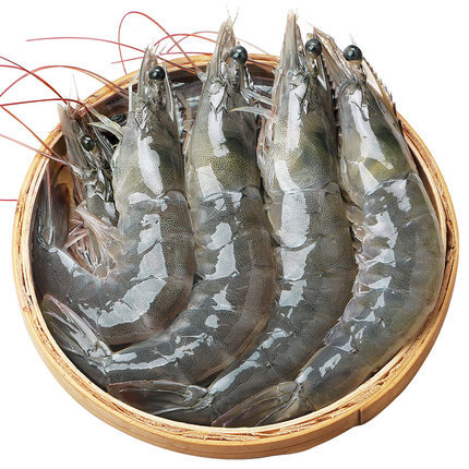 大蝦鮮活海鮮水產(chǎn)青島超大特冷凍基圍蝦海蝦鮮蝦青蝦速凍活蝦對蝦