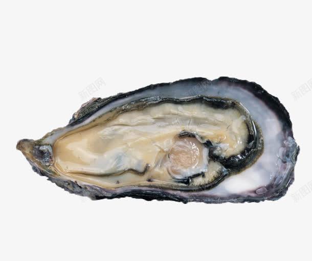 海魚生蠔 海洋的饋贈與創意靈感